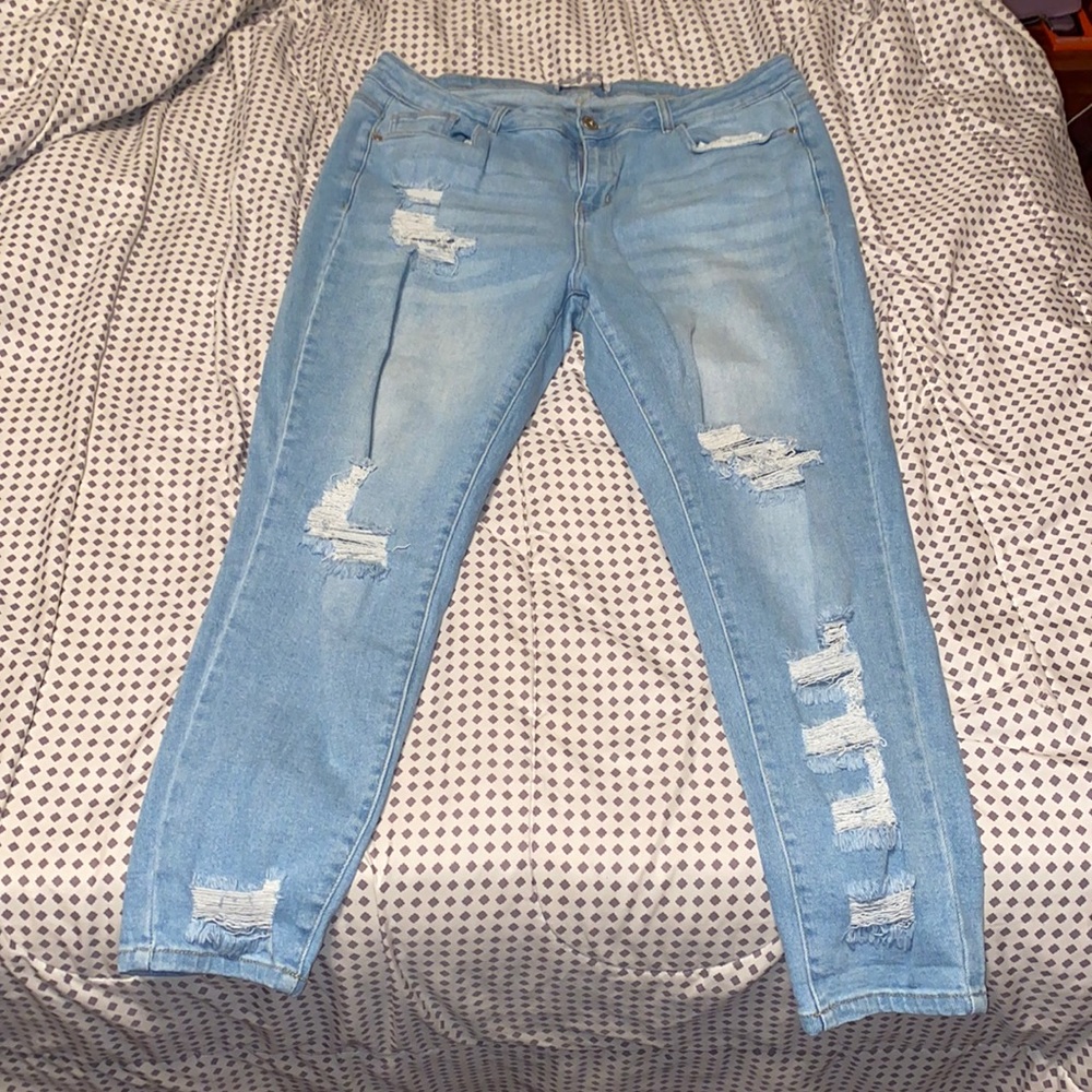 Plus size distressed skinny jeans